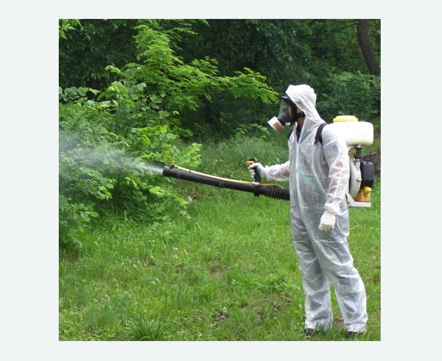 обработка территории от клещей в Новосиньково