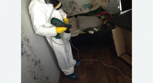 Обработка квартир от насекомых в Новосиньково