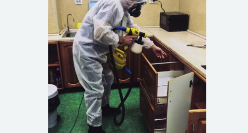 Дезинсекция квартиры. Новосиньково