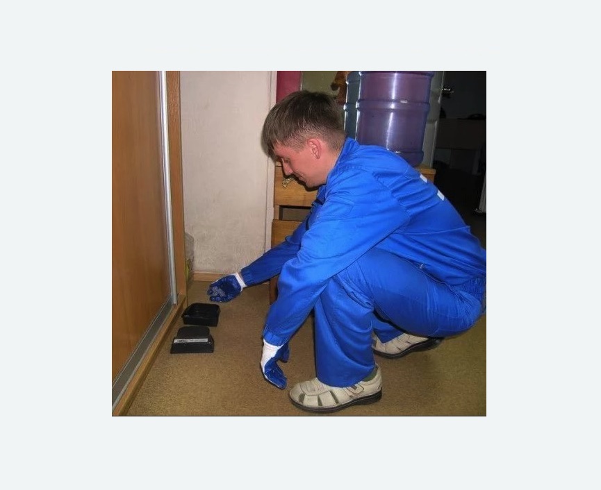 Дератизация крыс в Новосиньково