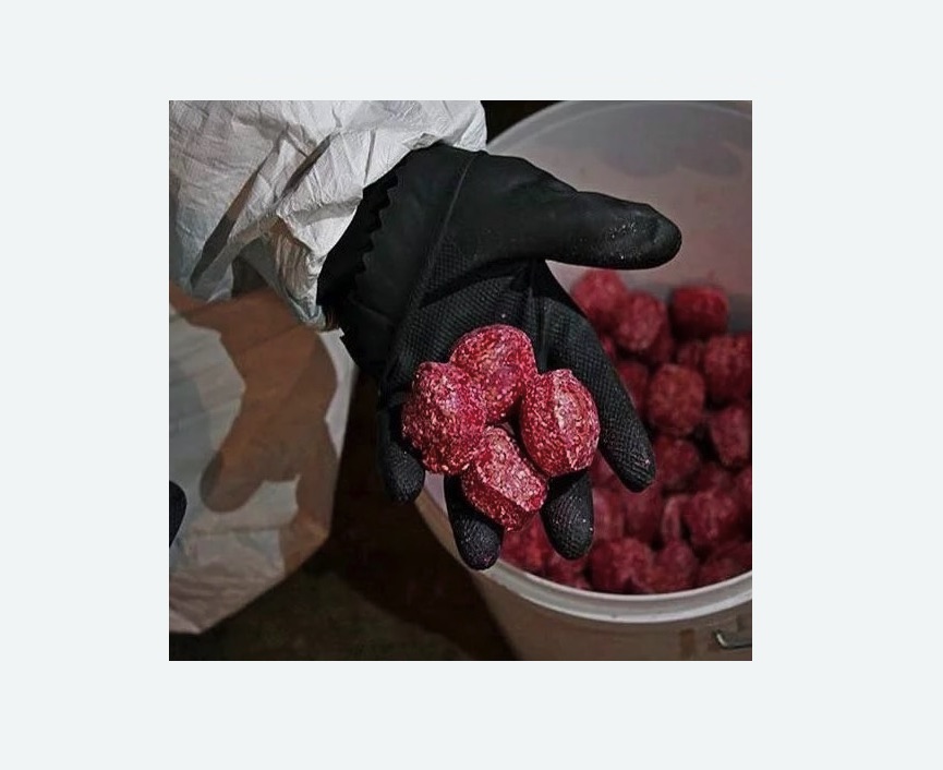 Обработка от крыс в Новосиньково