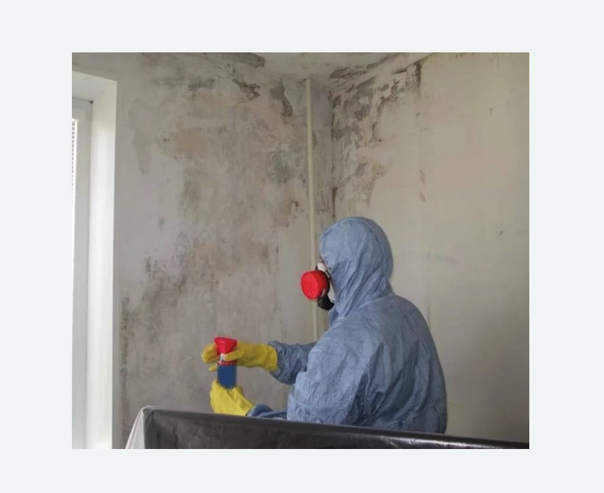 Удаление плесени в квартире Удаление плесени в квартире в Новосиньково