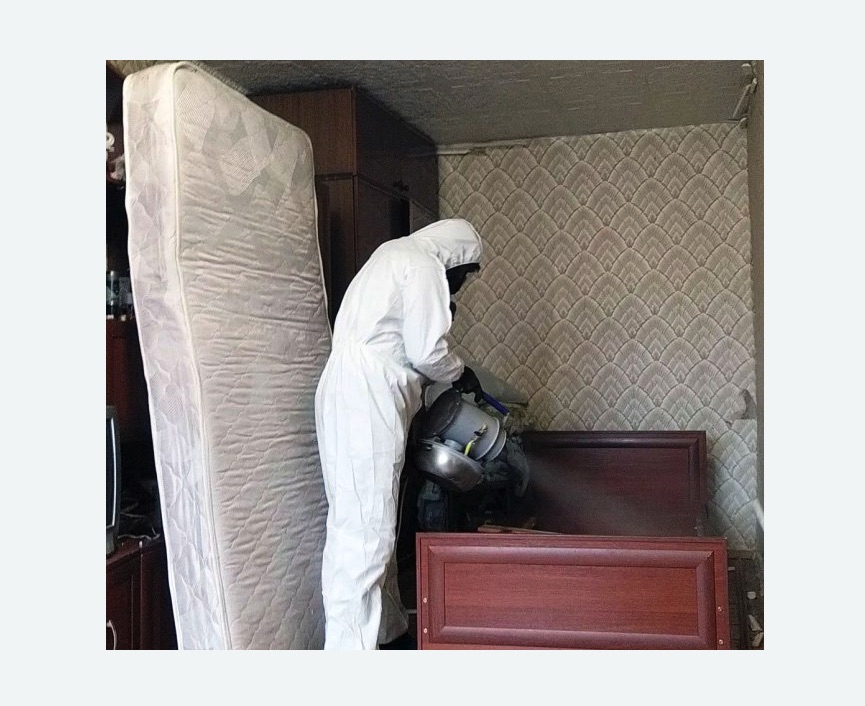 дезинфекция от клопов дезинфекция от клопов в Новосиньково