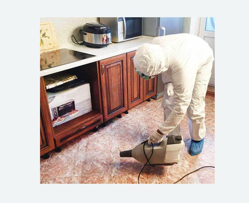 обработка квартиры от клопов в Новосиньково обработка квартиры от клопов