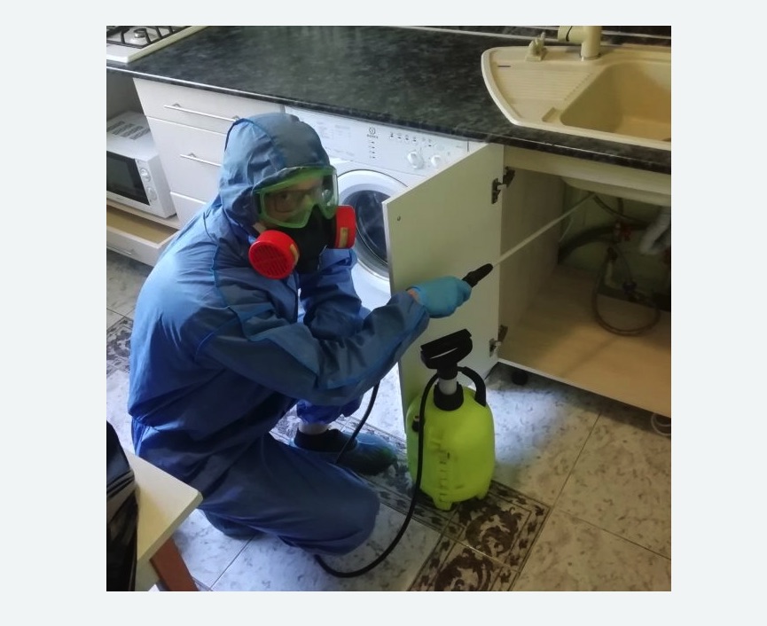 обработка от муравьев в квартире в Новосиньково