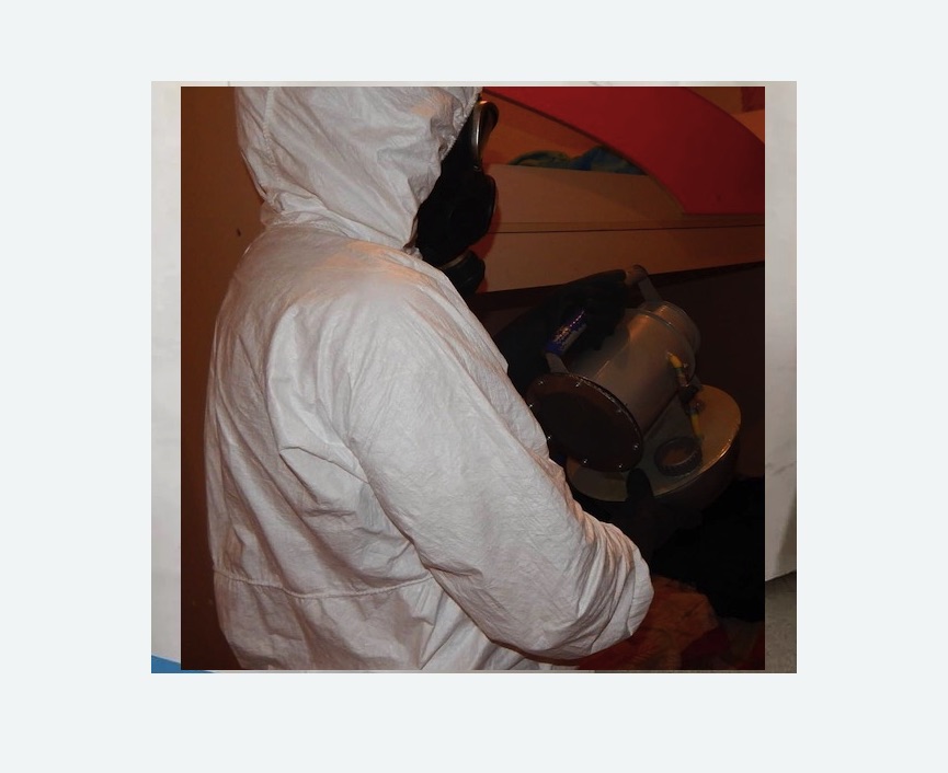 Дезинфекция от муравьев в Новосиньково